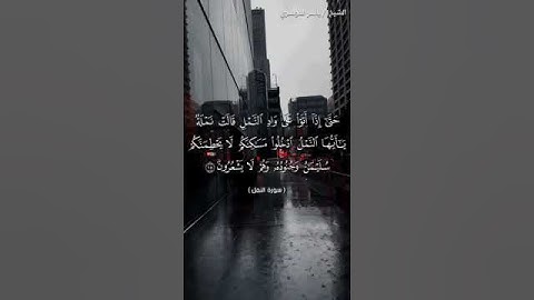سورة النمل من  آية 18 إلى آية 19 بصوت الشيخ ياسر الدوسري♥♥