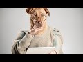 How dogs think latest Updated Video 2023