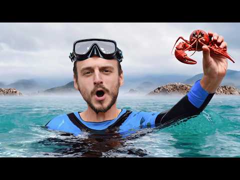 ვეძებ 100 განსხვავებულ არსებას