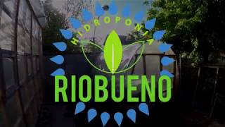 Proyecto Activa 2017 Hidroponia Río Bueno