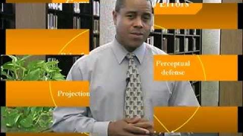 Organizational Behavior Lecture 3