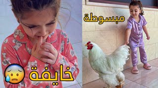 جبنا ديك عالبيت لألين | تالين خايفة وما بدها ياه😭