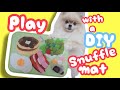 ノーズワークマットって何⁉️Play with a DIY snuffle mat[Pomeranian]#36