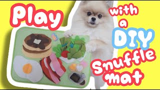 ノーズワークマットって何⁉️Play with a DIY snuffle mat[Pomeranian]#36