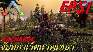 BGZ - ARK Ragnarok EP#51 จับสกาเร็ตเเรพเตอร์ Scarlet Raptor