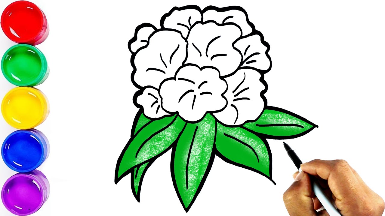 How To Draw A National Flower Laligurans Draw A Rhododendron how-to-draw-a-national-flower-laligurans-draw-a-rhododendron