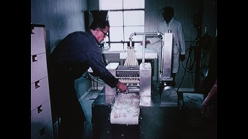 DEMACO Automatic Ravioli Machine Circa 1959 (short version)