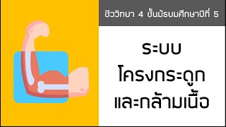 05 ระบบโครงกระดูกและกล้ามเนื้อ