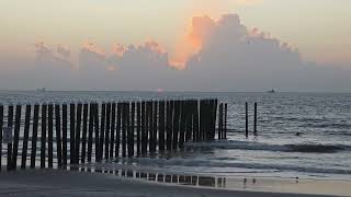 North Florida Surf and Beach Update 6:40 am 8.7.26 Guide