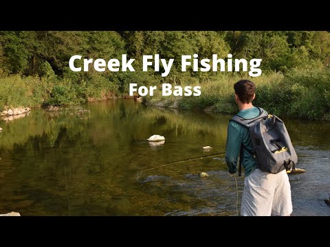 Bass Fishing in a Creek (Fly Fishing)