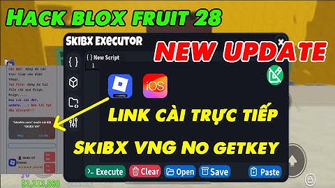 Cách tải SkiBX V2.700 VNG NO Key Trên Iphone Link cài trực tiếp Skibx | hack roblox blox fruits 28