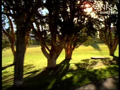 वीडियो: ऑस्ट्रेलिया के सौ साल का पार्क (सेंटेनियल पार्क) विवरण और तस्वीरें - ऑस्ट्रेलिया: सिडनी