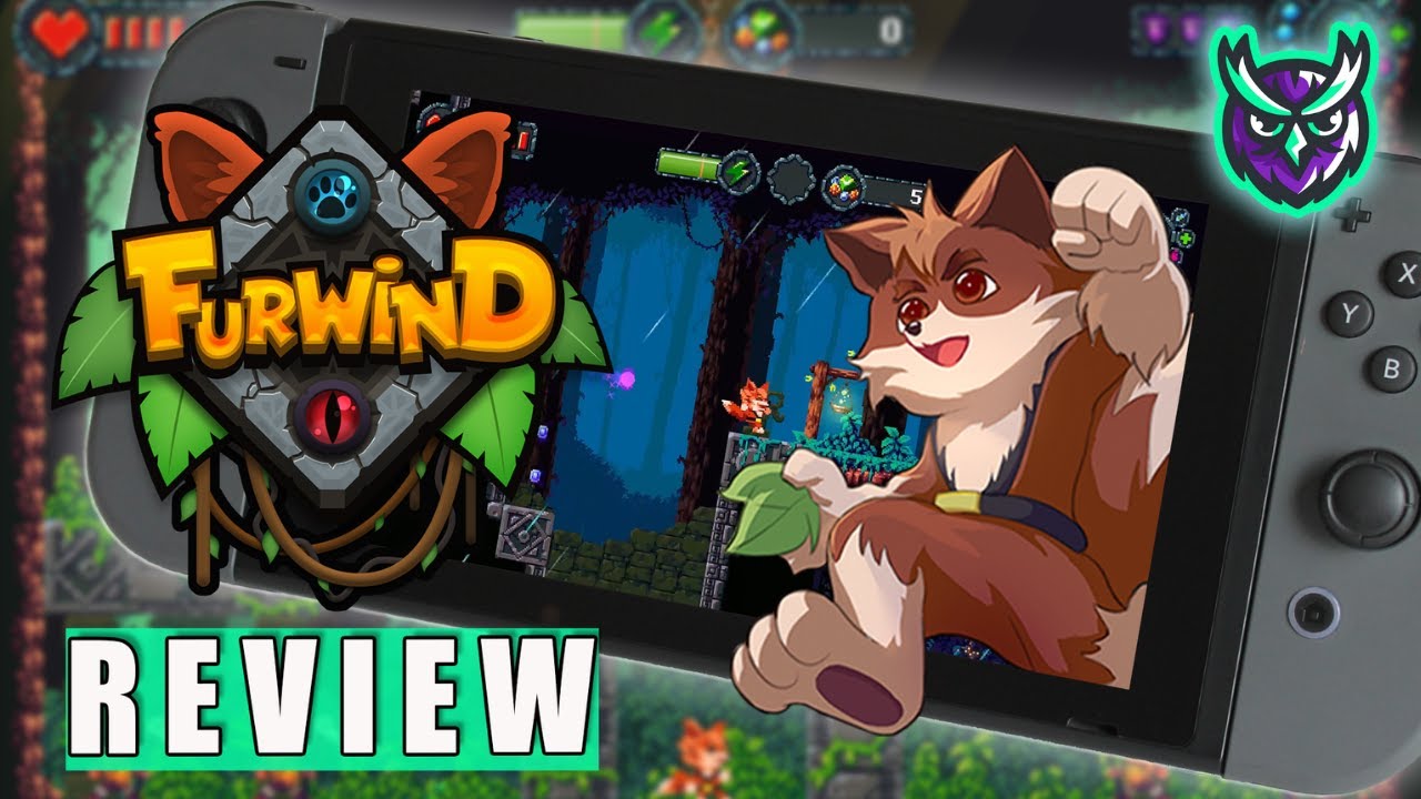 Furwind Nintendo Switch Review