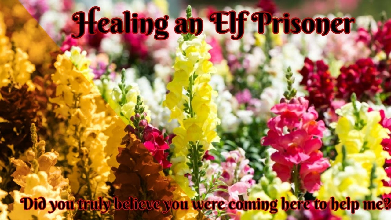 [F4A/A4A] ASMR Healing An Elf Prisoner [Enemies to Lovers]