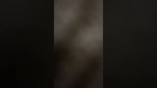 For @Dragonpuppets-z2z