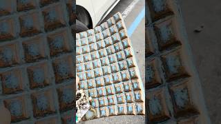 Savers Beautiful Pottery