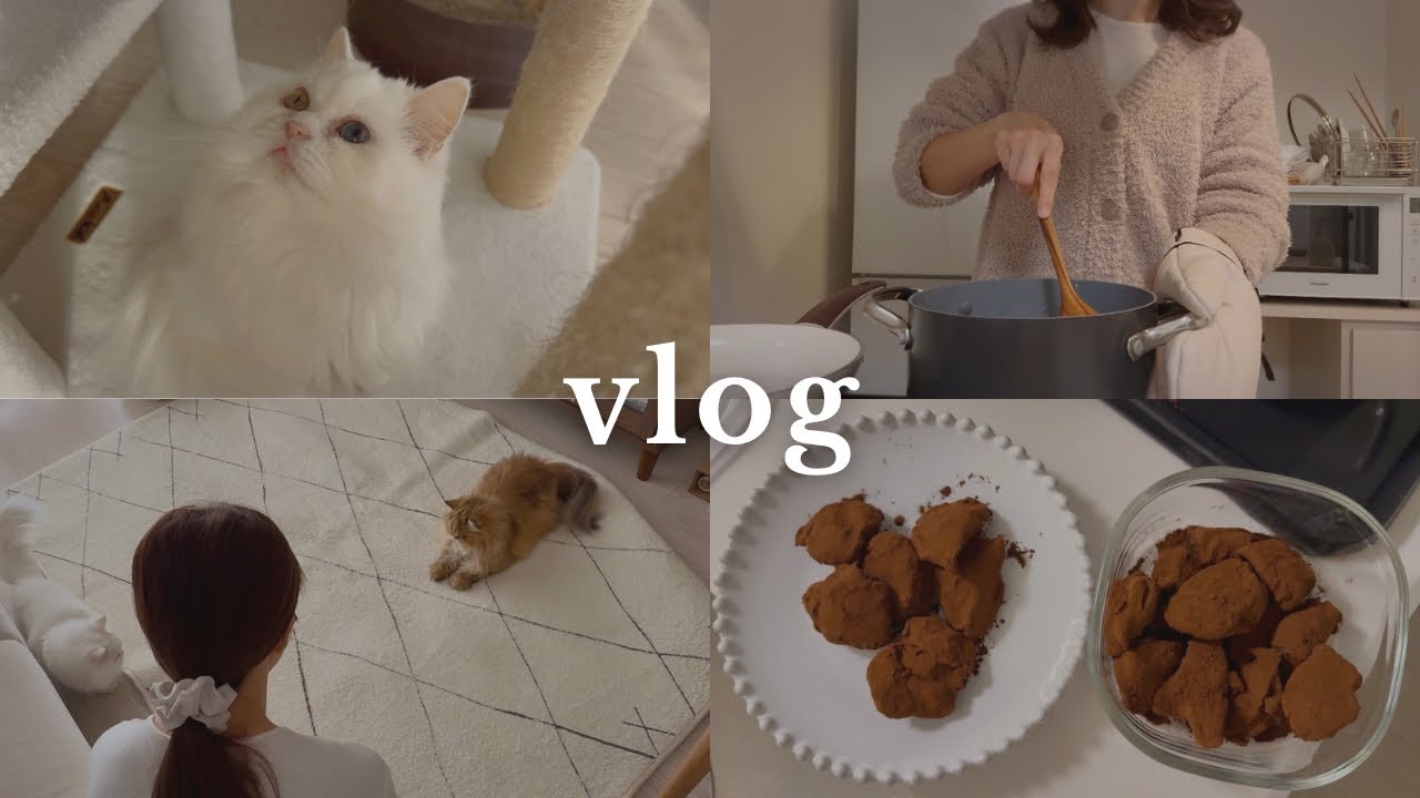 食べたいものを自炊してお家時間を猫とマイペースに過ごす一人暮らしの日常ルーティンvlog🏠🐈