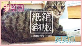 【貓咪】D.I.Y教學- 紙箱貓抓板| Scratching Post (內含主子試用 ...