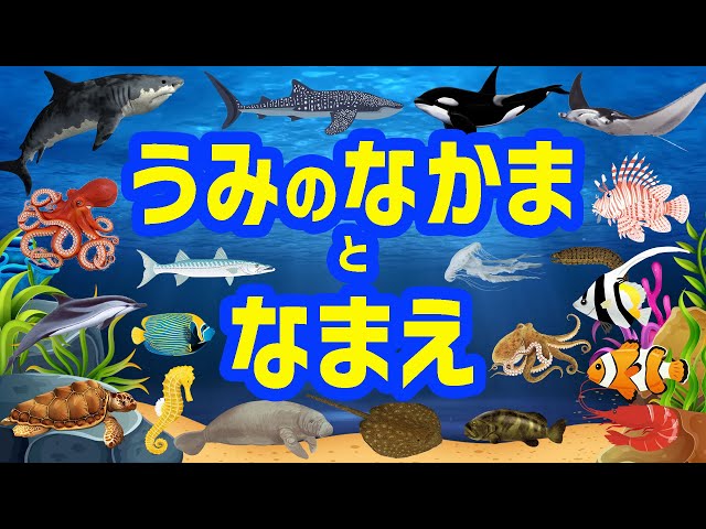 こども動物大百科 9 海と川の魚たち　00-12 水族館にいる仲間】海の仲間と海の生き物たちの名前を覚えよう☆彡子供