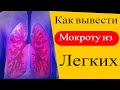 Как вывести слизь или мокроту из легких в домашних условиях [упражнения]