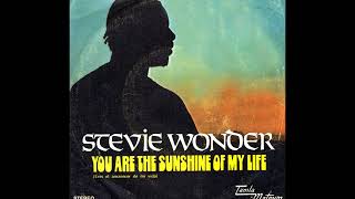 Stevie Wonder ~ You Are The Sunshine Of My Life 1972 Soul Purrfection Version