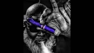 Rx Papi-12 Stout Streetsped Uppitched