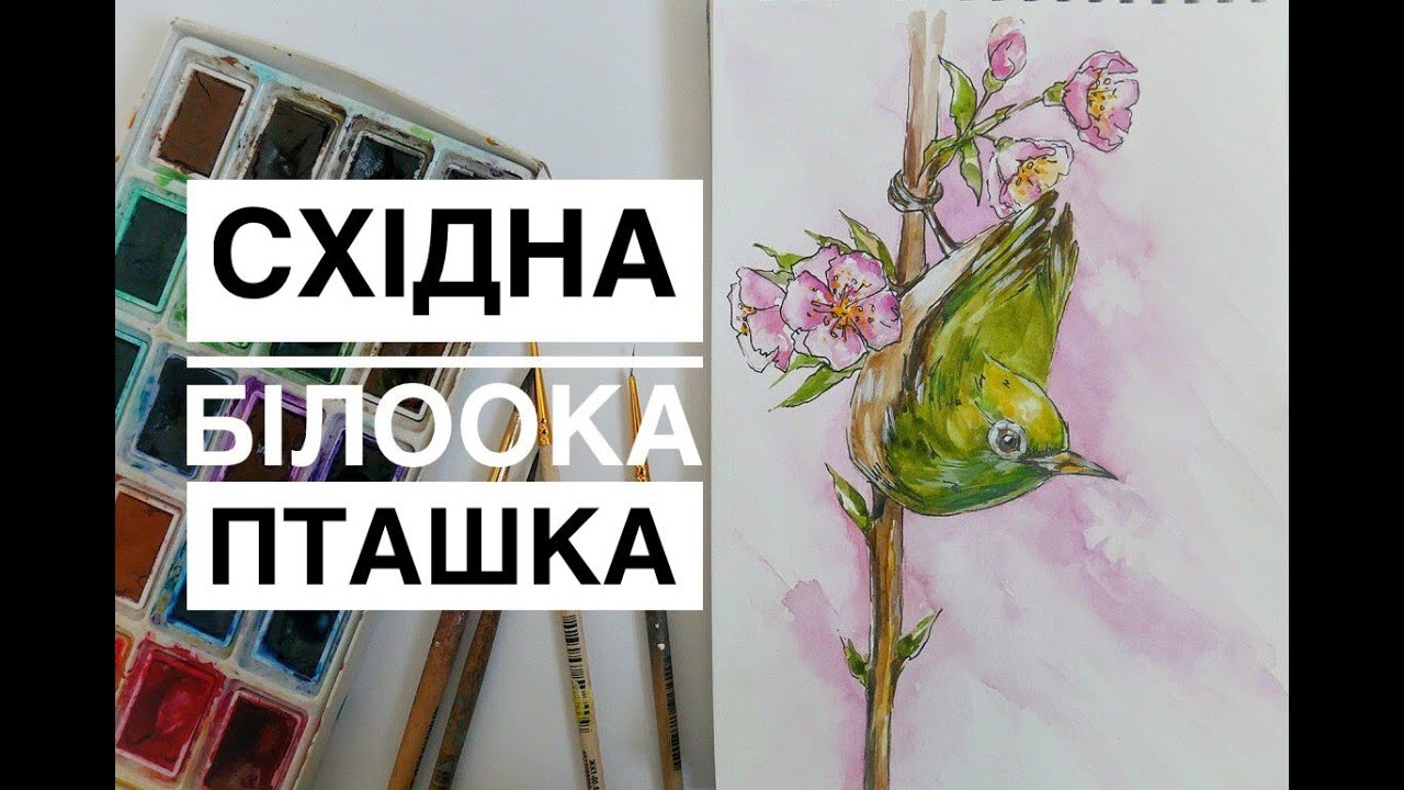 Східна білоока пташка||  Акварель|| Oriental white eye|| Julia fine art