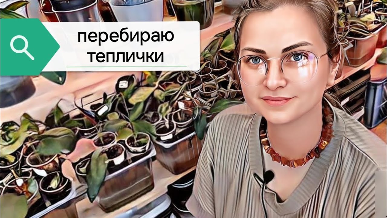 устройство теплиц для черенков растений и разговоры о разном