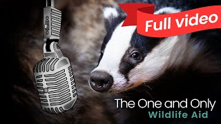 The One and Only - Wildlife Aid, Chesney Hawkes cover by Wildlife Aid 12,600 views 1 year ago 4 minutes, 22 seconds