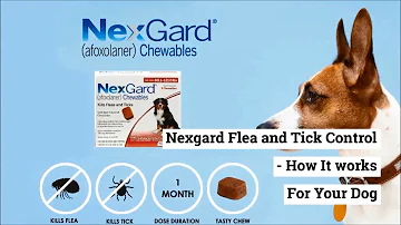 How long should NexGard be taken?