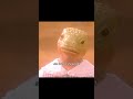 A woman actually gave birth to a lizard