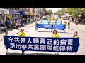 不与邪恶为伍须三退 退与不退差别大 三退洪声 第22集 不与邪恶为伍须三退 退与不退差别大 三退洪声 第22集