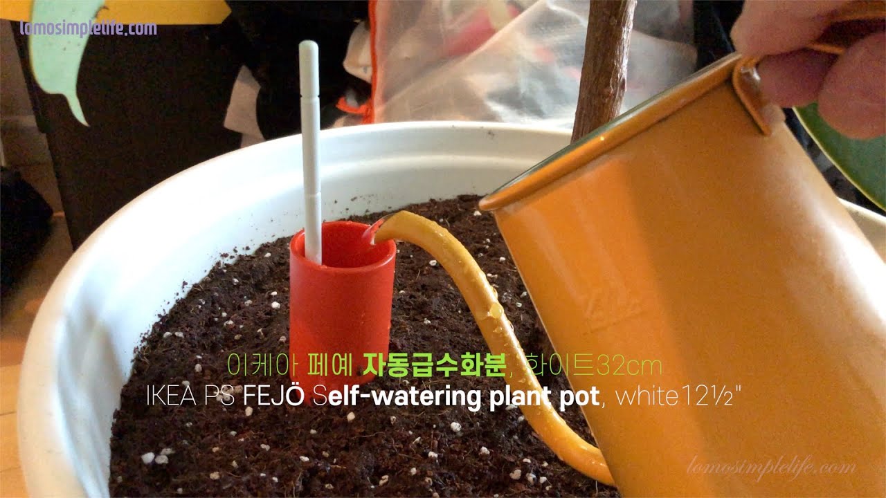 IKEA PS FEJÖ Self-watering plant pot, white - IKEA