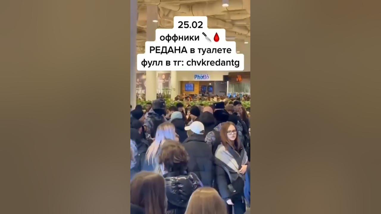 ссылка в коментах #redan #редан #пауки #курсед #авиапарк #рейздота # ...