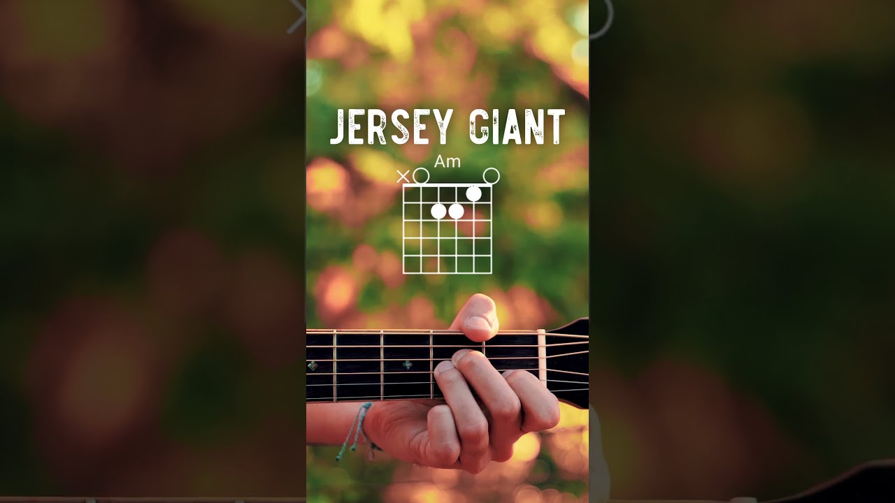 Jersey Giant Tyler Childers Guitar Tutorial Lesson