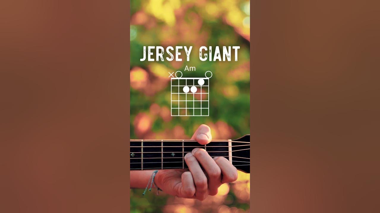 Jersey Giant Tyler Childers Guitar Tutorial // Jersey Giant Guitar Lesson