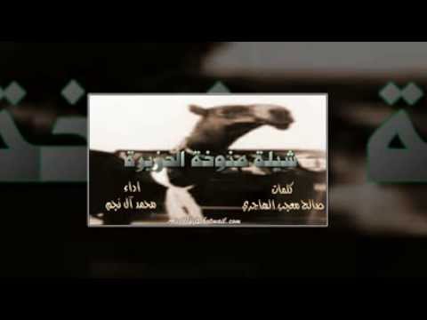 شيلة منوخة الجزيرة اداء محمد ال نجم 2015