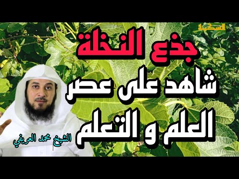 جذع النخلة شاهد على عصر العلوم و التعلم الشيخ محمد العريفي