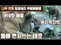 [에버랜드 호랑이] 돌에 편지 쓴 태호가 나뭇가지 잃어버리고 뿌에에엥! S.Korea Everland Tiger Valley!