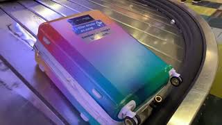 ANTINATALIST SUITCASE SEEN BY MANY ALONG  WAY | Should Humans Stop Having Children