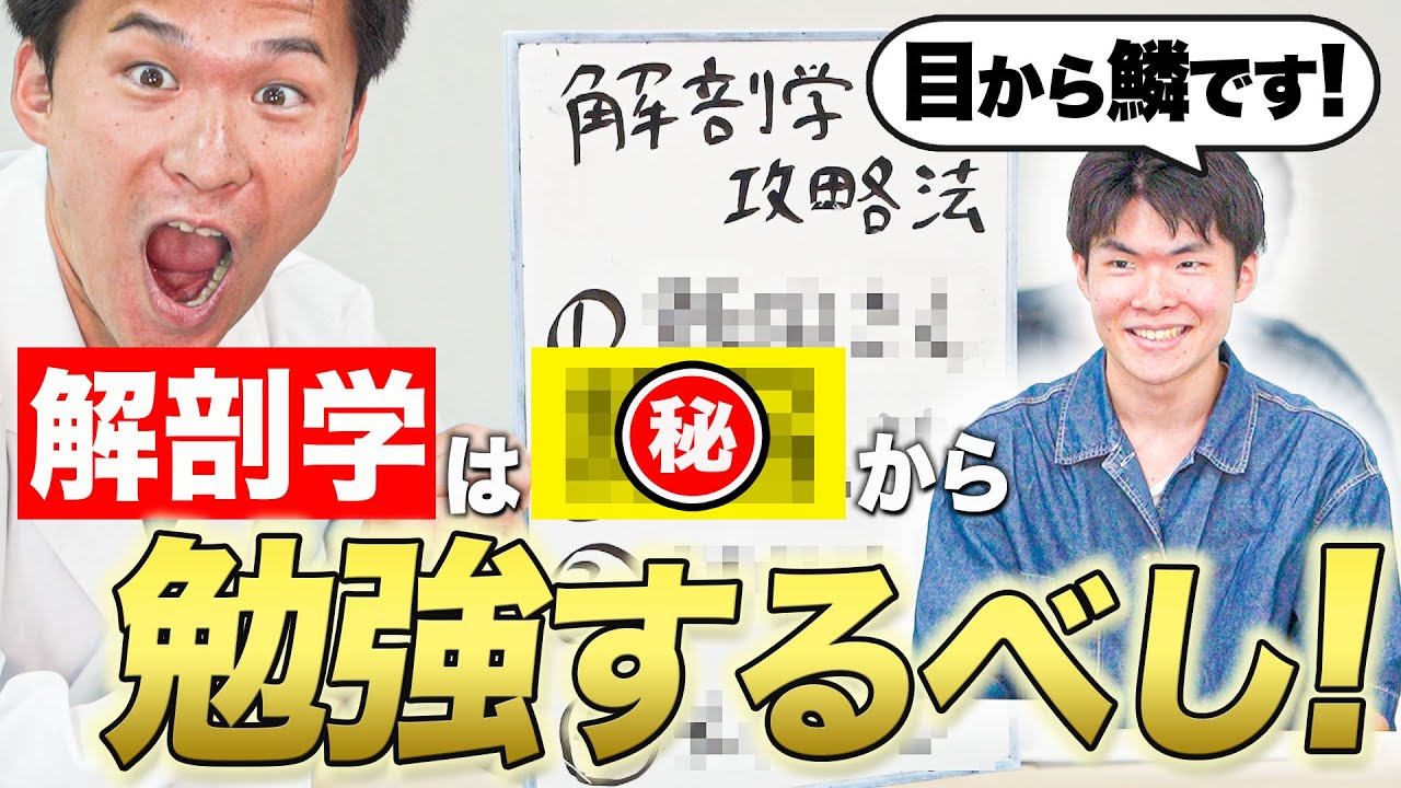 【もっと早く知りたかった!!】医学部の解剖学は〇〇から勉強しましょう！ — Transcript