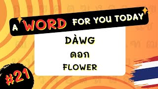 #21 "Flower" in Thai! - "Dàwg"(ดอก) #awordforyoutoday #igetthais