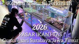 Pasar Ikan Hias GunungSari Surabaya Jawa Timur Indonesia