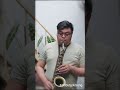 Hard to say im sorry - Chicago (saxophone cover) #oldbutgoldsongs