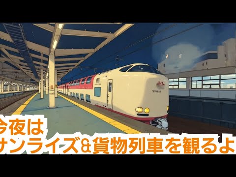 アウロラ アトランティコ CM YouTube