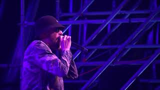 Download Lagu MILLION STYLEZ \u0026 The Island Defenders live @ Lion Stage 2017 MP3