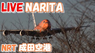 LIVE at NARITA International Airport Plane Spotting　2024.06.07　成田空港ライブカメラ 成田空港　NRT/RJAA