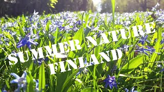 FINLAND - Finnish nature / SUOMI - Suomen luonto