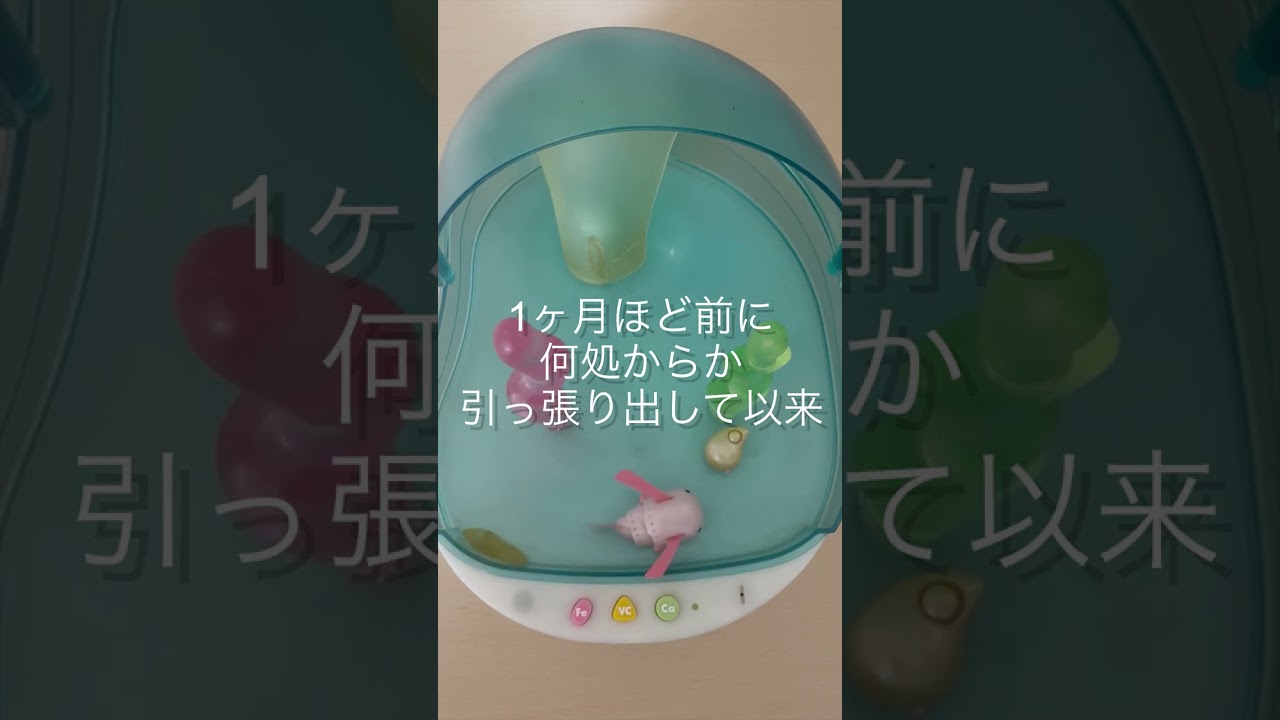 ウォータールーパーMUTSUって知ってる？#再販希望 - YouTube