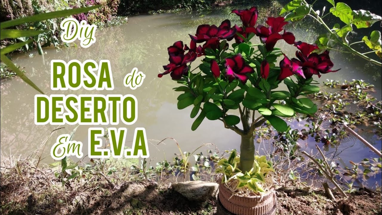 DIY ROSA do DESERTO em E.V.A, como vc nunca viu 🌹🪴🌹